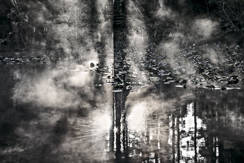 Vision of Light and Dark 